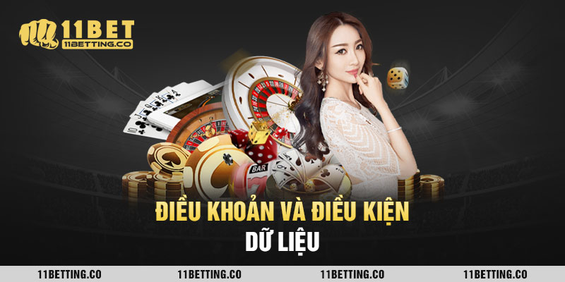 Điều khoản và điều kiện dữ liệu