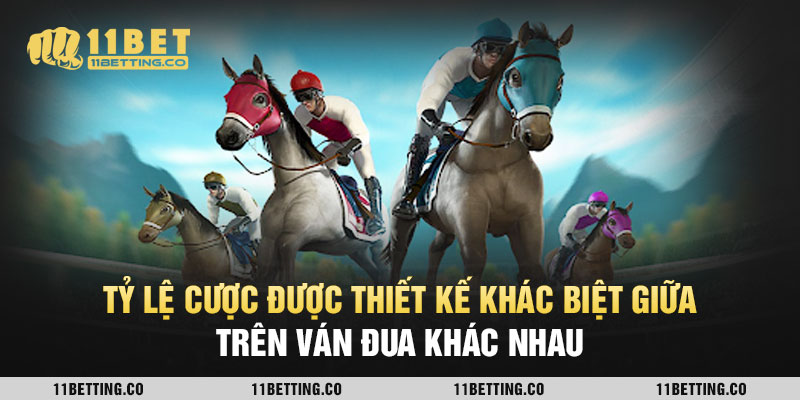 Tỷ lệ cược được thiết kế khác biệt giữa trên ván đua khác nhau